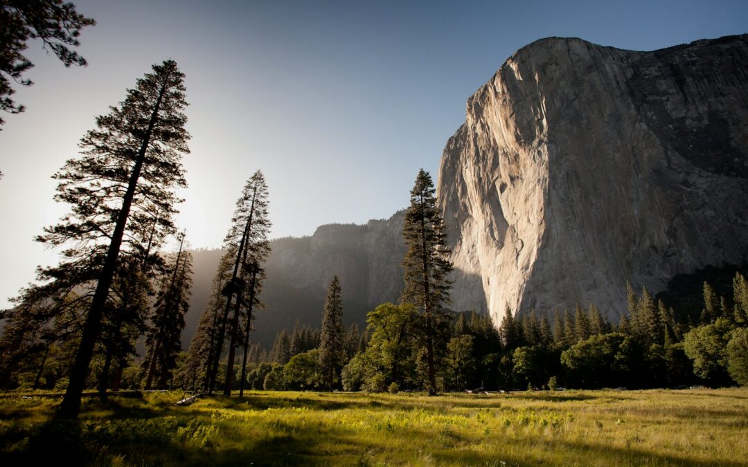 Honoring Indigenous Peoples’ Day: Reflection, Recognition, and Responsibility in Mental Health Practice