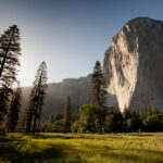 Indigenous Peoples’ Day - landmark photography of trees near rocky mountain under blue skies daytime
