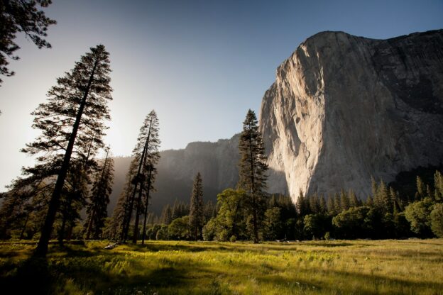 Indigenous Peoples’ Day - landmark photography of trees near rocky mountain under blue skies daytime