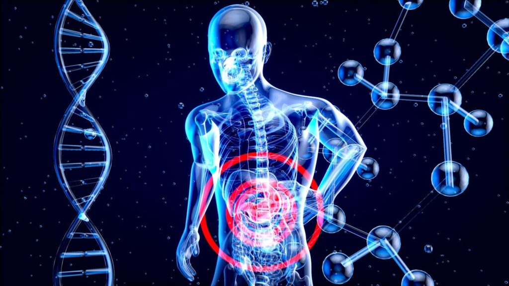 gut-brain connection