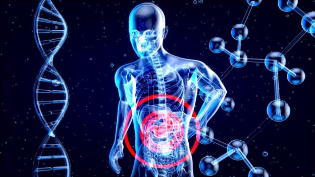 gut-brain connection